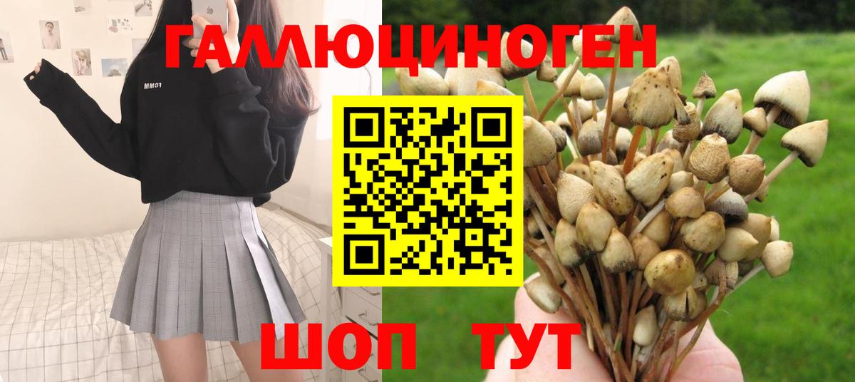 Псилоцибиновые грибы мухоморы Павловский Посад